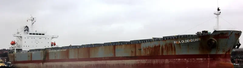PANAMAX ALEXANDER Bulk Carrier IMO 9233492 photo 4