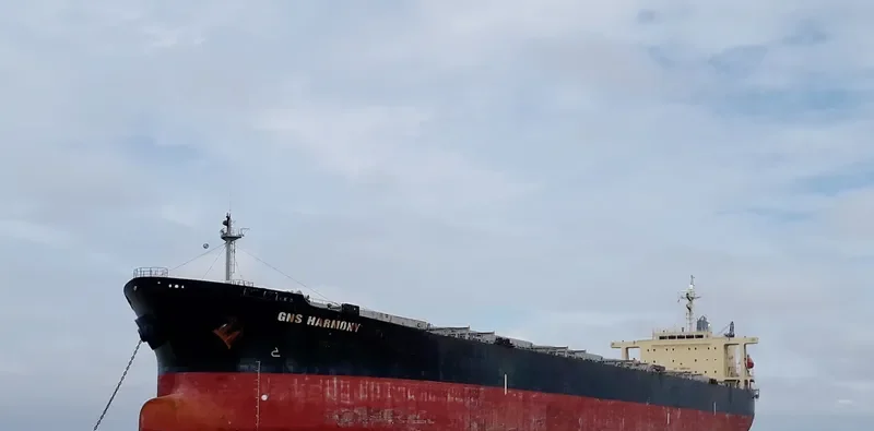 GNS HARMONY Bulk Carrier IMO 9233519 photo 6