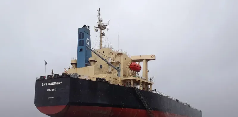 GNS HARMONY Bulk Carrier IMO 9233519 photo 8