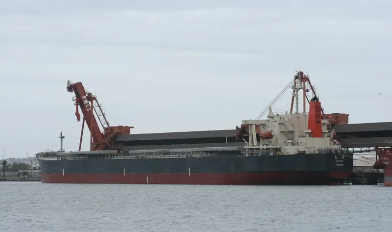 DONG FANG HAI TAI Bulk Carrier IMO 9233533 photo 5