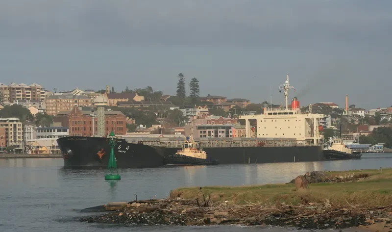 DONG FANG HAI TAI Bulk Carrier IMO 9233533 photo 6