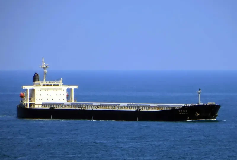 DONG FANG HAI TAI Bulk Carrier IMO 9233533 photo 7