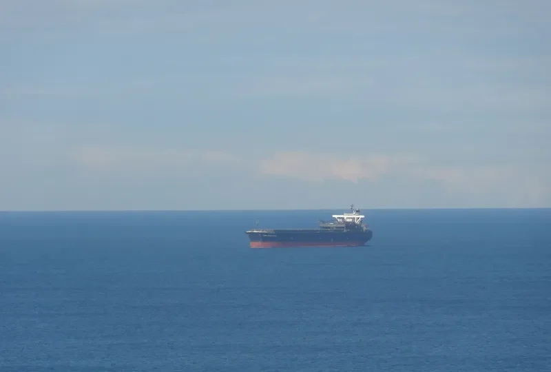 SAGE SAGITTARIUS Bulk Carrier IMO 9233545 photo 3