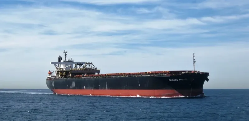 SINCERE PISCES Bulk Carrier IMO 9233569 photo 5