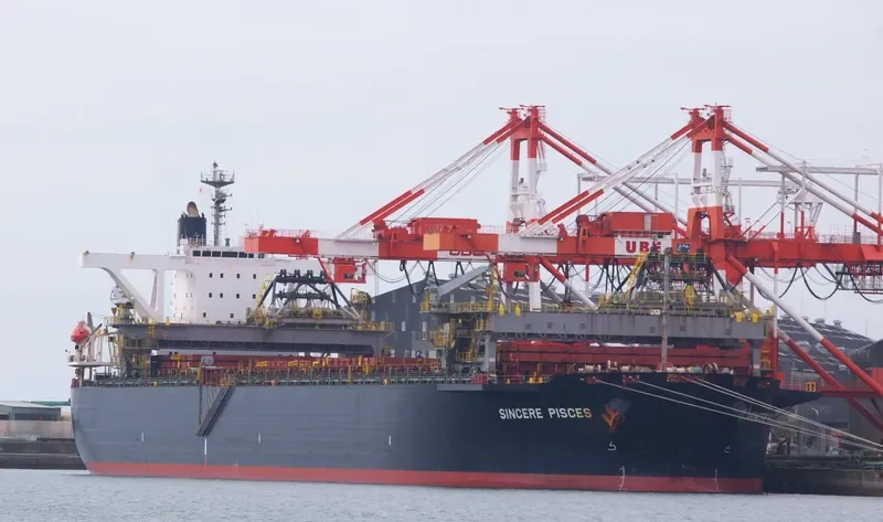 SINCERE PISCES Bulk Carrier IMO 9233569 photo 6