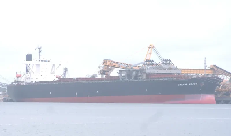 SINCERE PISCES Bulk Carrier IMO 9233569 photo 8