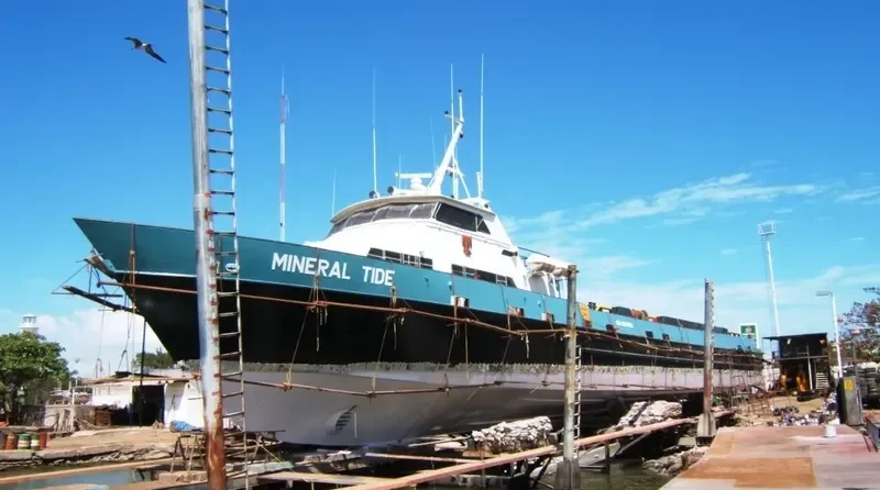 MINERAL Passenger Ship IMO 9233686