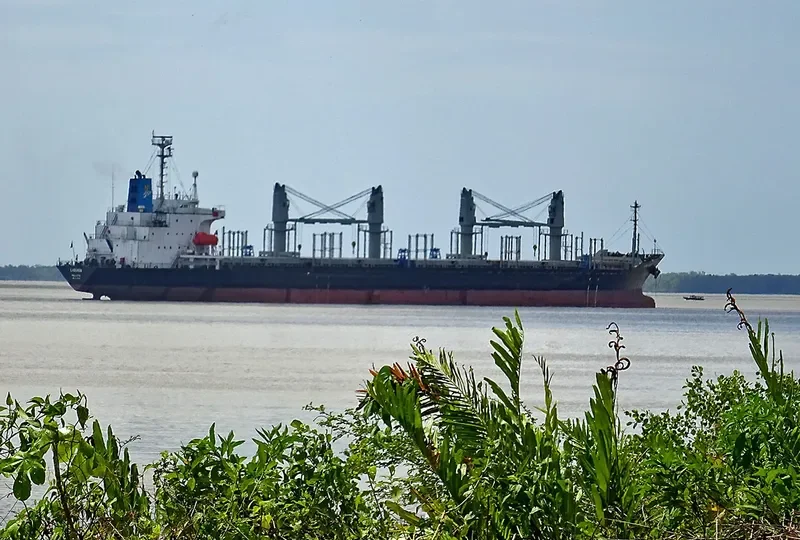 LAGONDA Bulk Carrier IMO 9233868