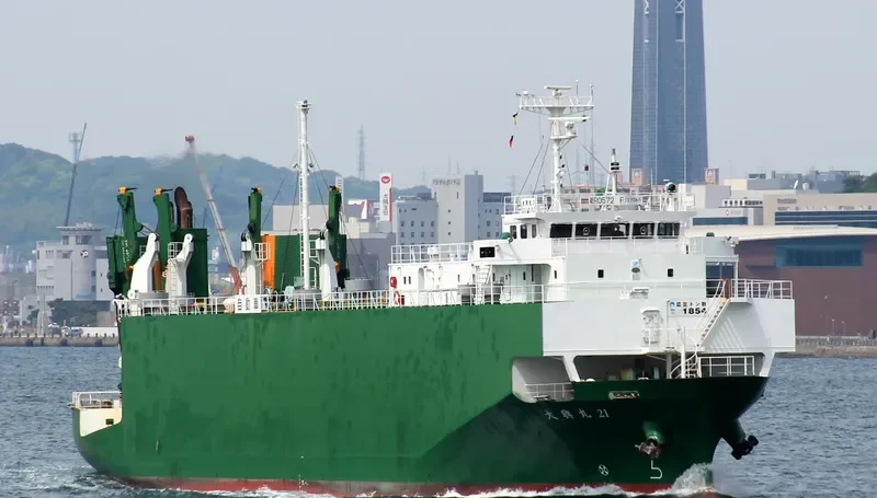 SEATRAN FERRY 10 General Cargo IMO 9233894 photo 2