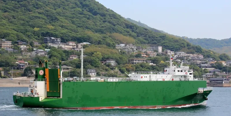 SEATRAN FERRY 10 General Cargo IMO 9233894 photo 3