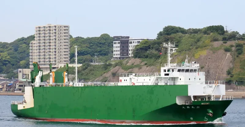 SEATRAN FERRY 10 General Cargo IMO 9233894 photo 5