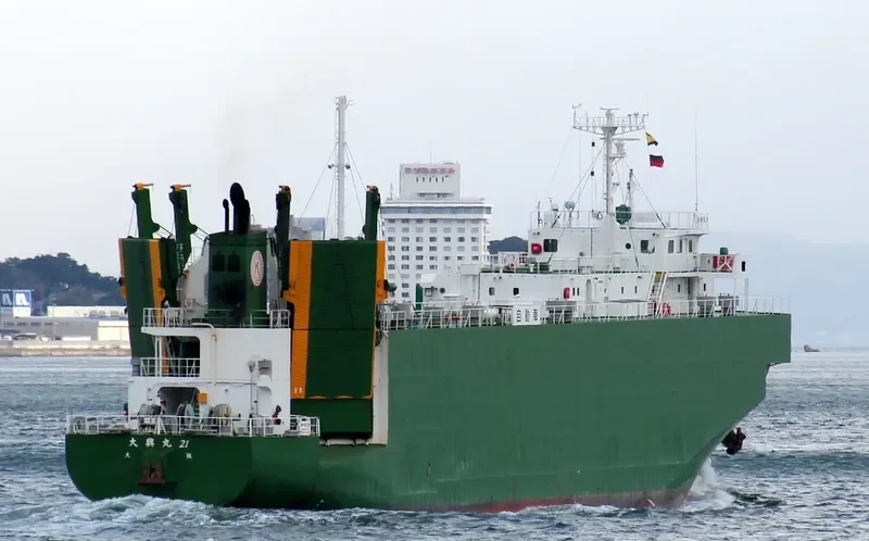 SEATRAN FERRY 10 General Cargo IMO 9233894 photo 7