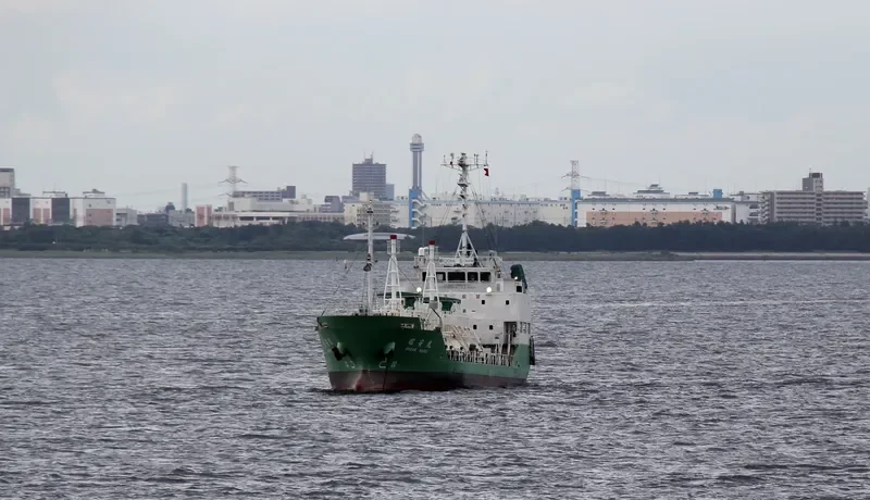 SHOAN MARU General Cargo IMO 9233909 photo 3