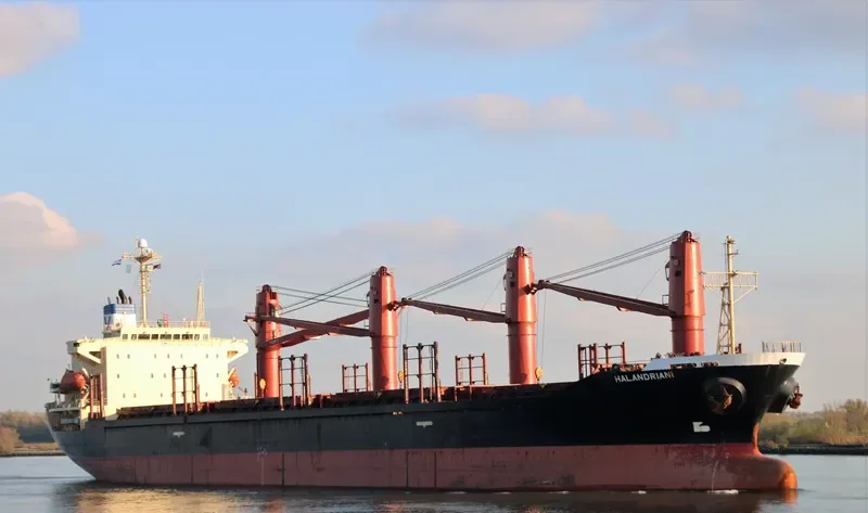 BAO SHUN Bulk Carrier IMO 9233911 photo 8