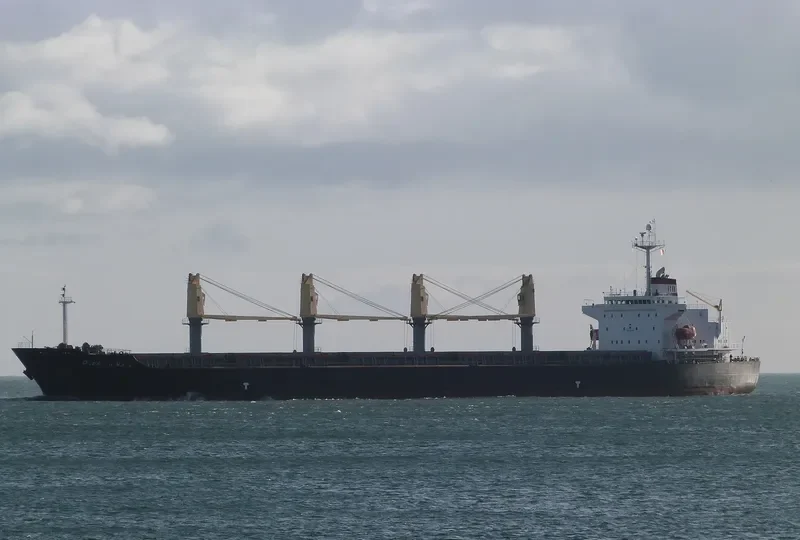 SANTY Bulk Carrier IMO 9233985 photo 10