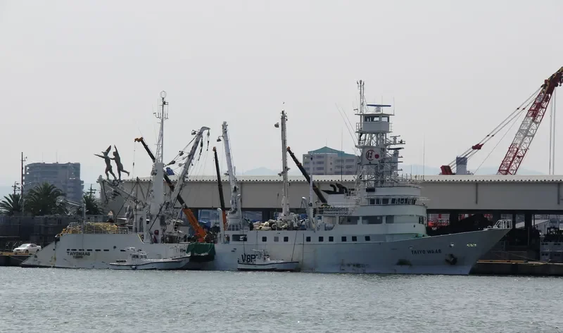 TAIYO WAAB General Cargo IMO 9234173 photo 2