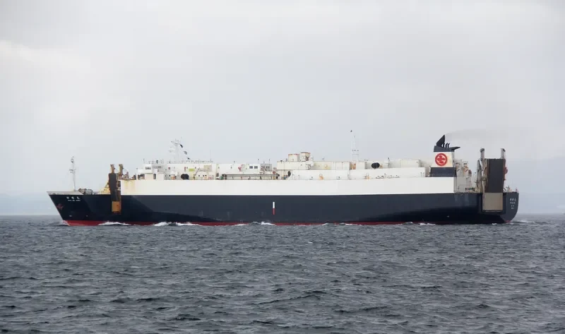 SHIN MEI MARU General Cargo IMO 9234185 photo 2
