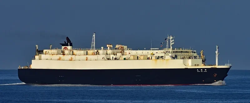 SHIN MEI MARU General Cargo IMO 9234185 photo 6