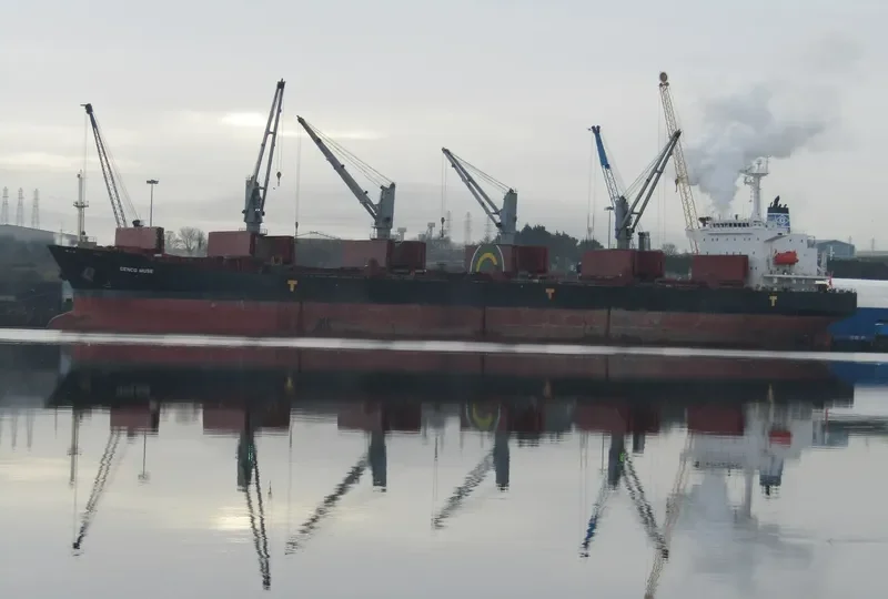 LOTUS Bulk Carrier IMO 9234214 photo 2