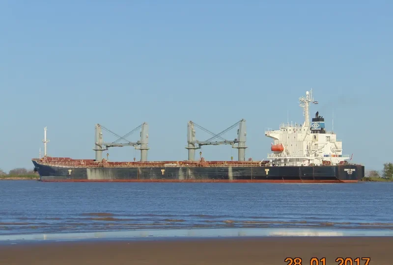 LOTUS Bulk Carrier IMO 9234214 photo 7