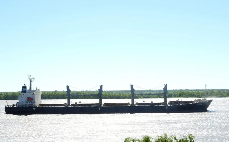 LOTUS Bulk Carrier IMO 9234214 photo 10