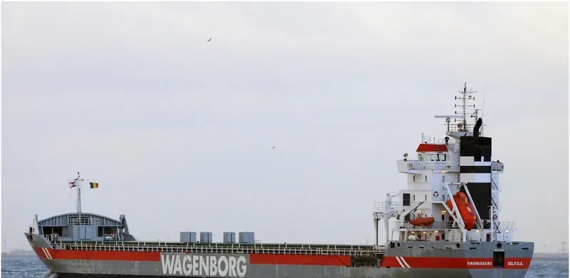 VIRGINIABORG Container Ship IMO 9234290