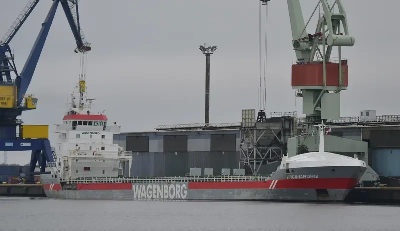 VIRGINIABORG Container Ship IMO 9234290 photo 7