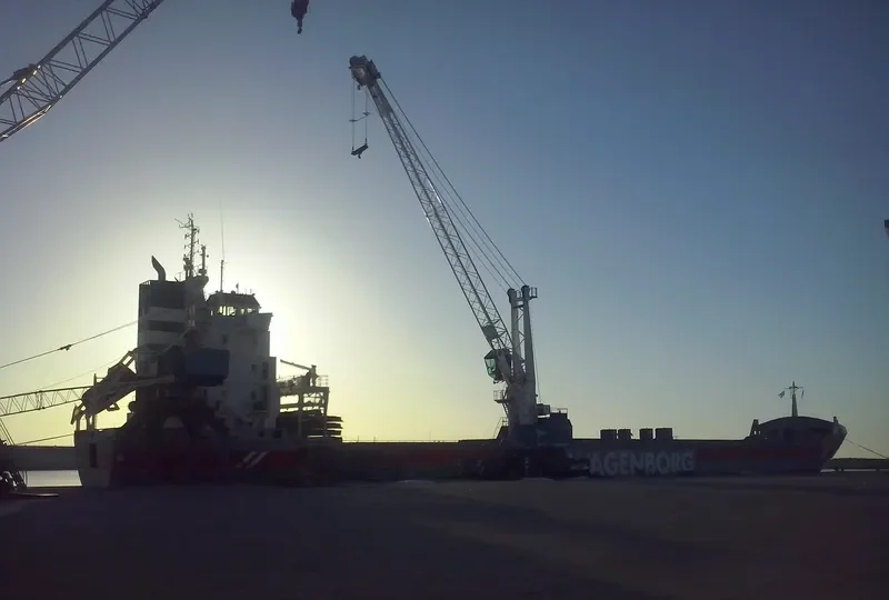 VIRGINIABORG Container Ship IMO 9234290 photo 10