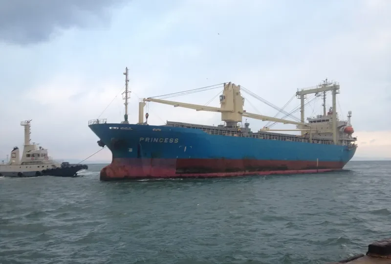 PRINCESS General Cargo IMO 9234771 photo 6