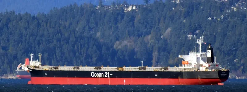 DIAMOND INDAH Bulk Carrier IMO 9235191 photo 2