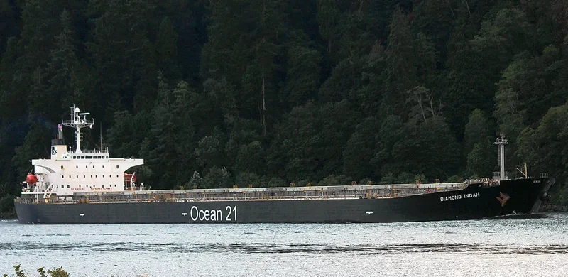 DIAMOND INDAH Bulk Carrier IMO 9235191 photo 7
