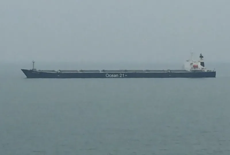 DIAMOND INDAH Bulk Carrier IMO 9235191 photo 8