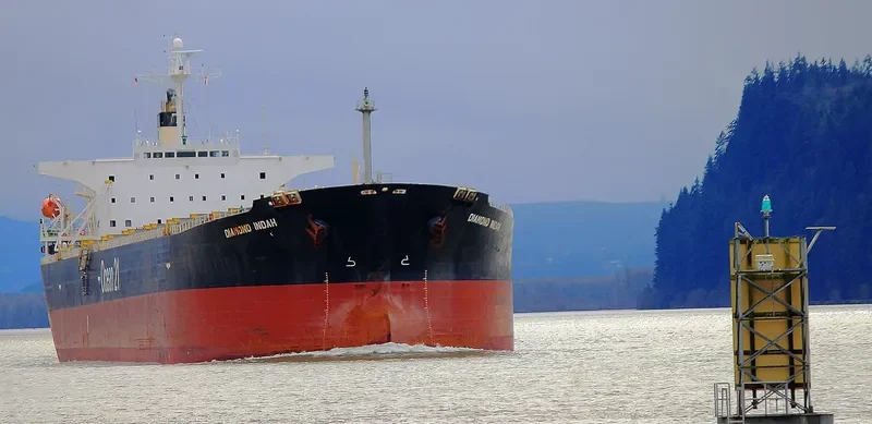 DIAMOND INDAH Bulk Carrier IMO 9235191 photo 9
