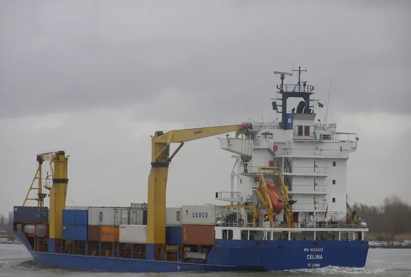 CELINA Container Ship IMO 9235373 photo 9