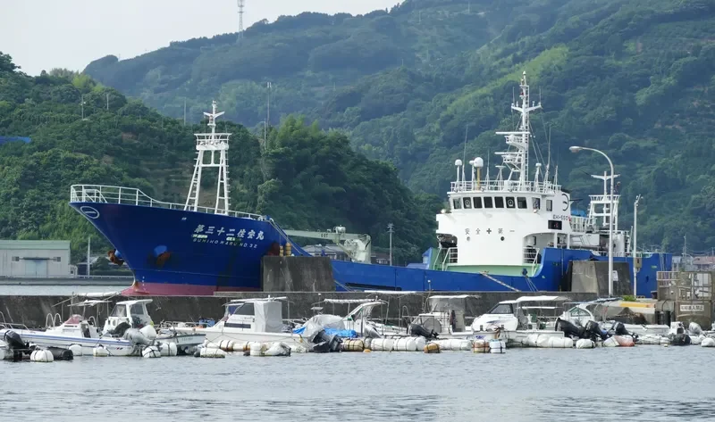 SUMIHO MARU NO.32 General Cargo IMO 9235749