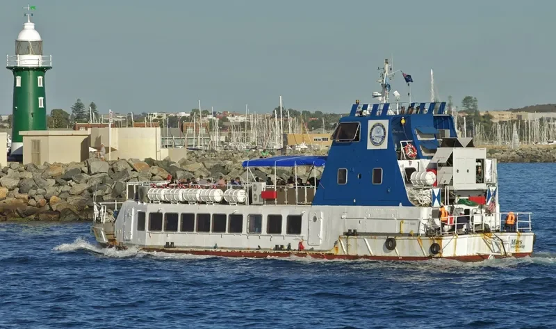GLENN MARS Passenger Ship IMO 9235787 photo 4