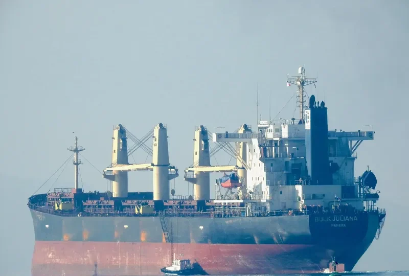 ELLIE M Bulk Carrier IMO 9235854 photo 2