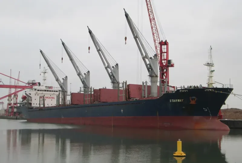 BAO DA Bulk Carrier IMO 9235957 photo 6