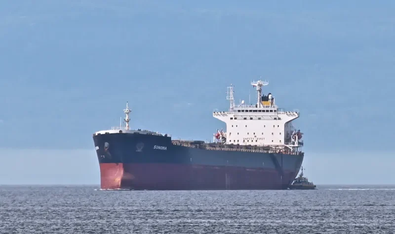 ZHONG LIANG HUA NAN Bulk Carrier IMO 9236195 photo 9