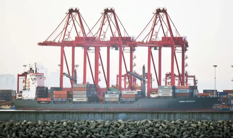 MSC MAKOTO II Container Ship IMO 9236212 photo 3