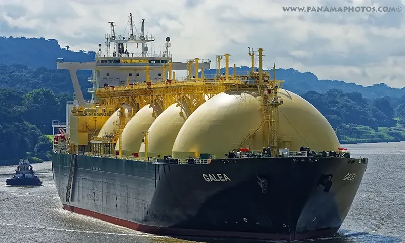 GALEA General Cargo IMO 9236614