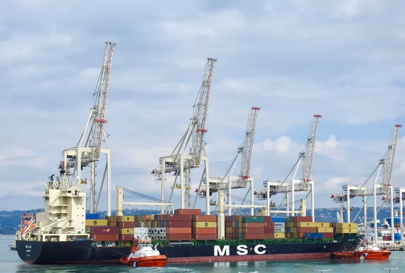 MSC ELBE Container Ship IMO 9236688 photo 2