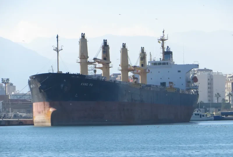 KANG FU Bulk Carrier IMO 9236822 photo 2