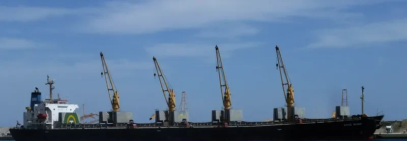 KANG QIANG Bulk Carrier IMO 9236834 photo 3