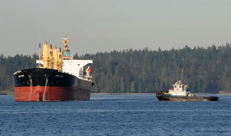 KANG QIANG Bulk Carrier IMO 9236834 photo 5