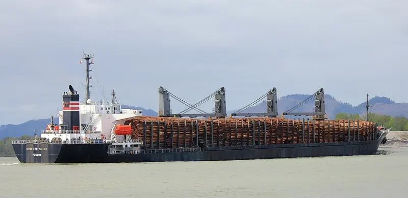 SEA ARIES Bulk Carrier IMO 9236846