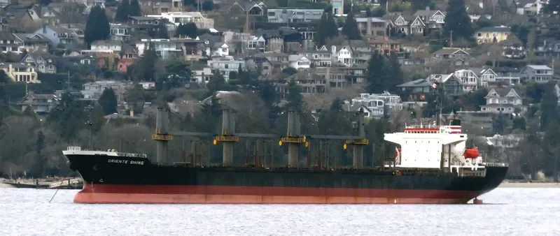SEA ARIES Bulk Carrier IMO 9236846 photo 2