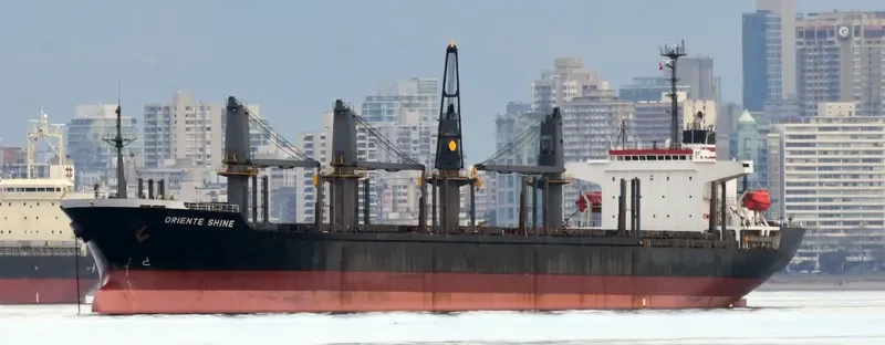 SEA ARIES Bulk Carrier IMO 9236846 photo 3