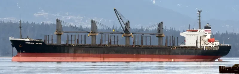 SEA ARIES Bulk Carrier IMO 9236846 photo 5