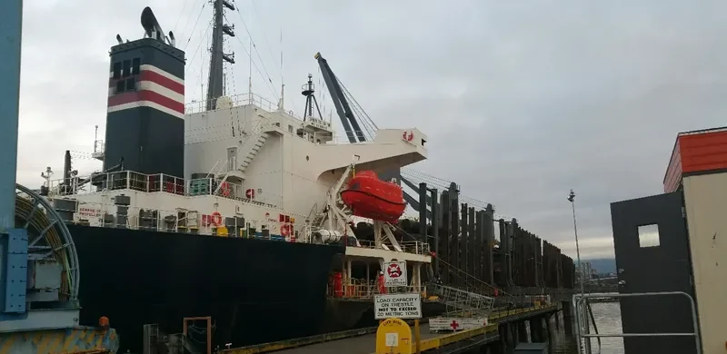 SEA ARIES Bulk Carrier IMO 9236846 photo 7